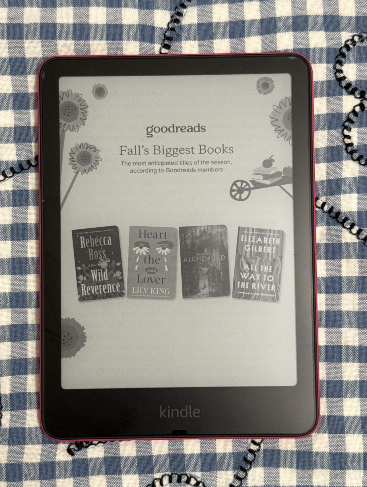 Kindle Paper White Gen 12