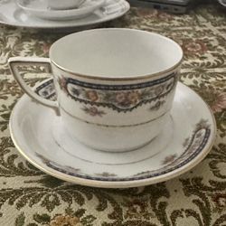 Bavarian Cup And Saucer 