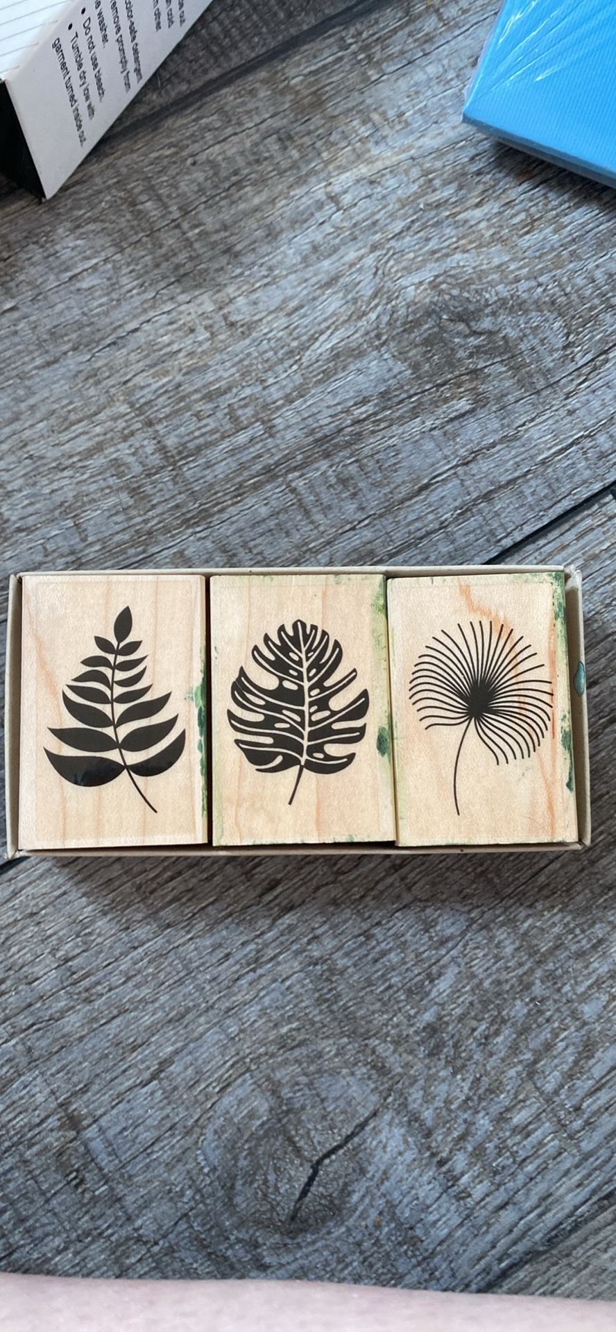Set Of Three Leaf Stamps