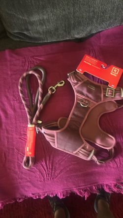 New  never used dog harness. XXL and dog  lead