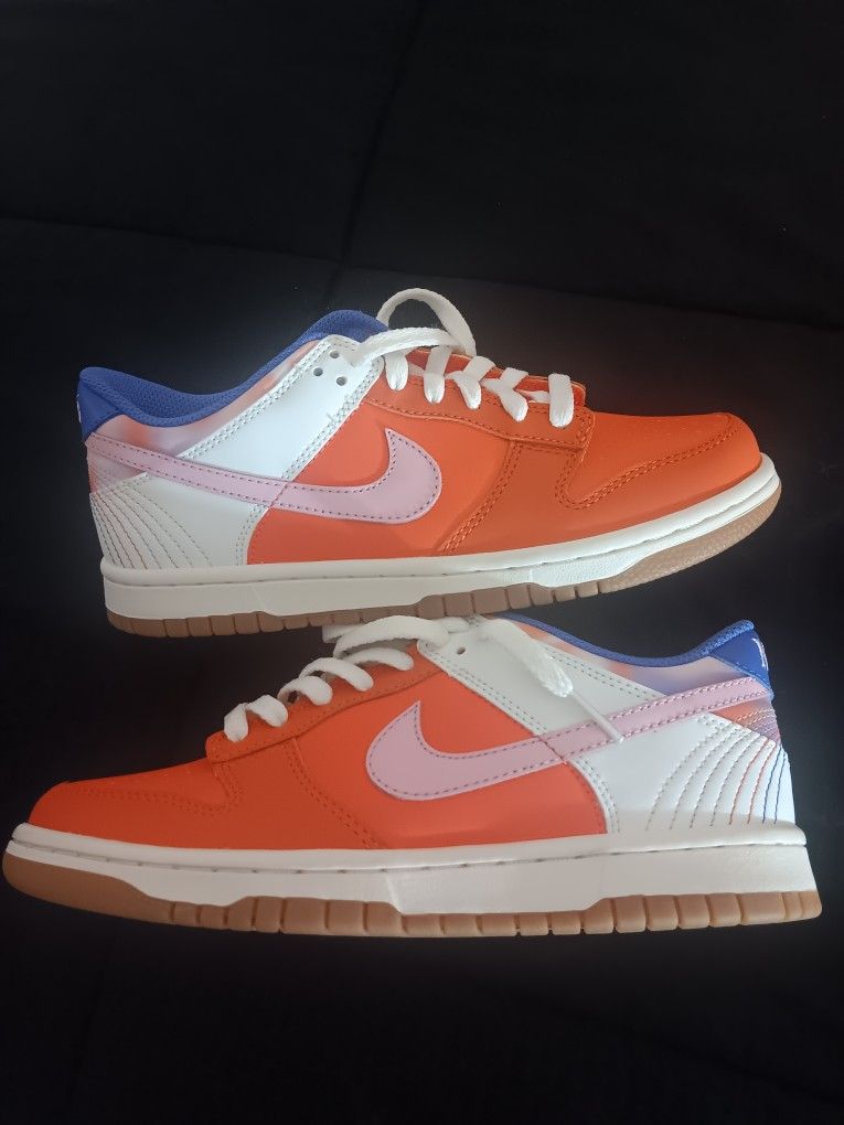 Nike Dunk "All You Need" Size 5.5 Ds No Box