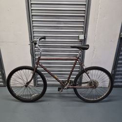 Schwinn Bike 