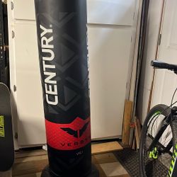 Versys century Punching Bag