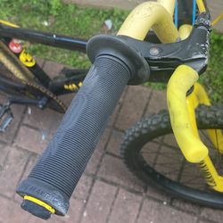 SE So Cal Flyer 24”