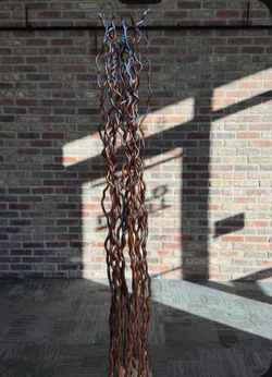 Curly willow branches bundle tall decor