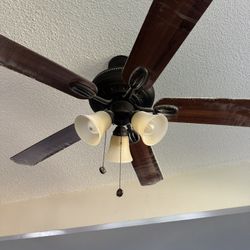 Ceiling Fan