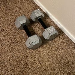 Two 20lbs Weights 
