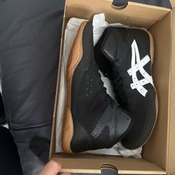 Wrestling Shoes 