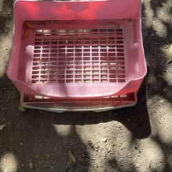baño para conejos 