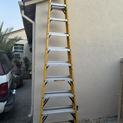 Dewalt 10ft Ladder