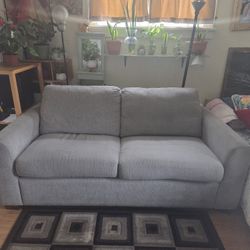 Loveseat Sofa Couch