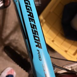 Aggressor Pro GT Mountain Bike