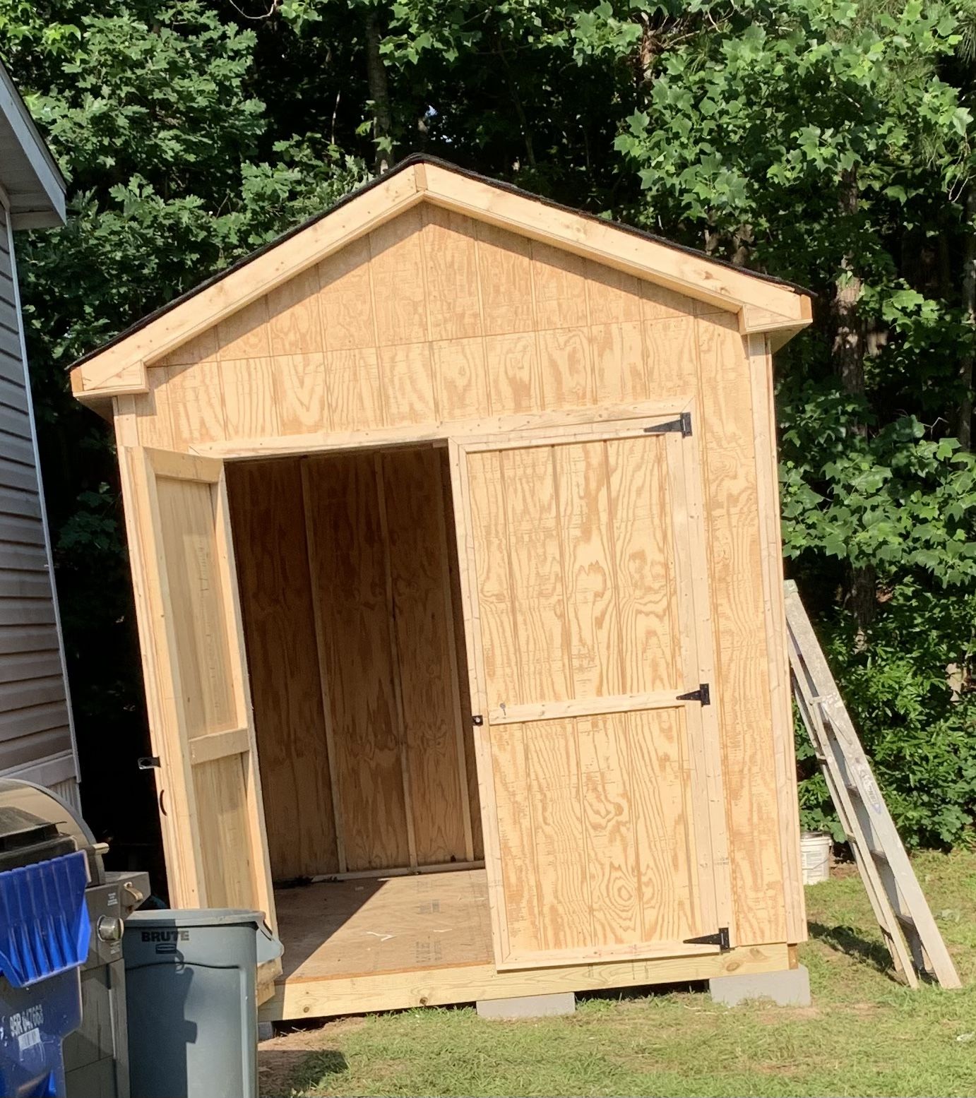Shed 8x12