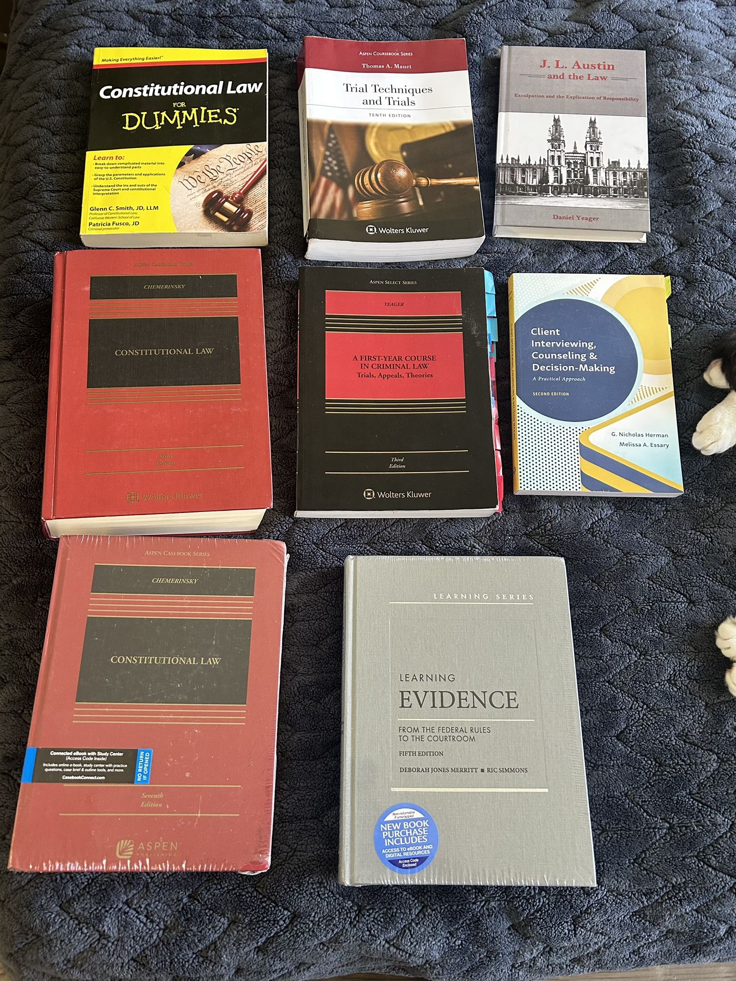 Law School Books