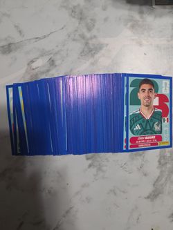 Blue Border Panini WC Stickers
