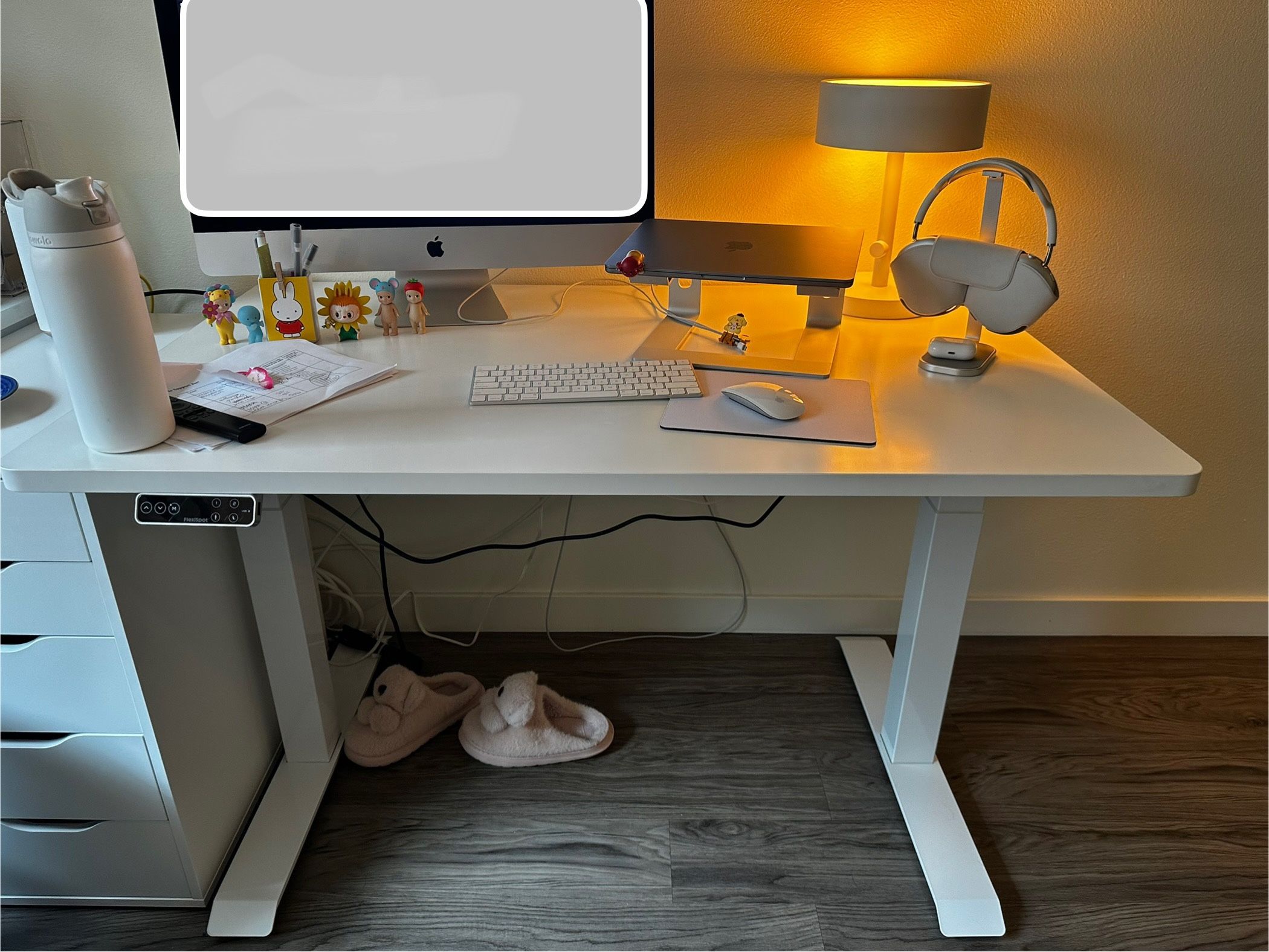 NEW Flexispot E7 Pro White Standing Desk