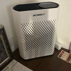 Ecoself Air Purifier 