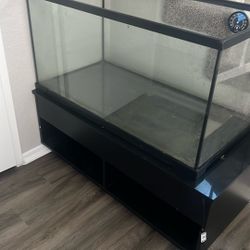 Reptile Tank Don’t Know The Size Don’t Ask 