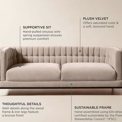 Ambroise 80" Light Taupe Velvet Sofa ( from CB2)