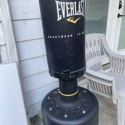 Everlast Powercore Free Standing Indoor Rounded Heavy Duty Fitness Training Bag