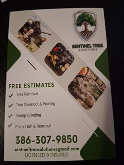 Sentinel  Tree Solutions