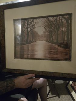 Rainy Day, Central Park