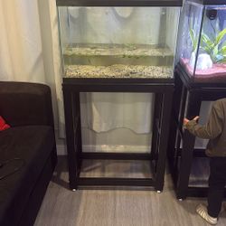 20g Fish Tank With Stand 