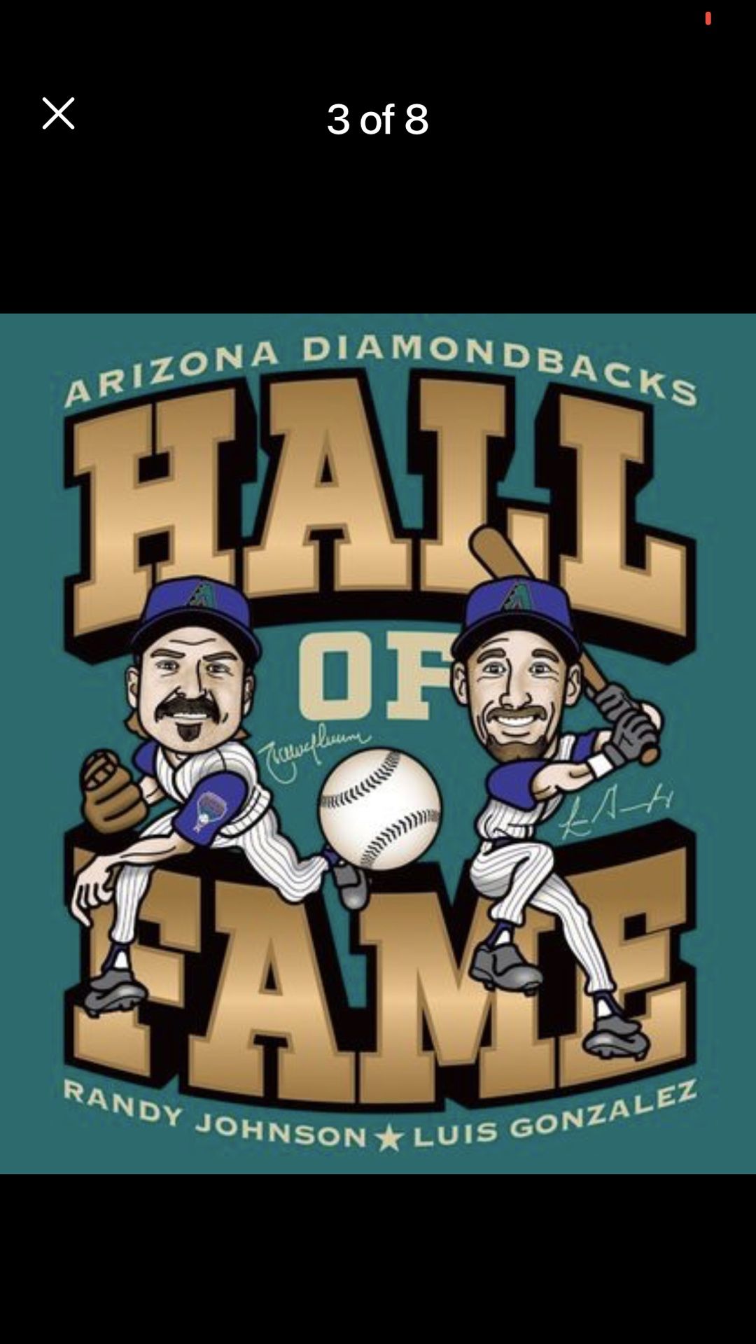 Hall Of Fame Shirt