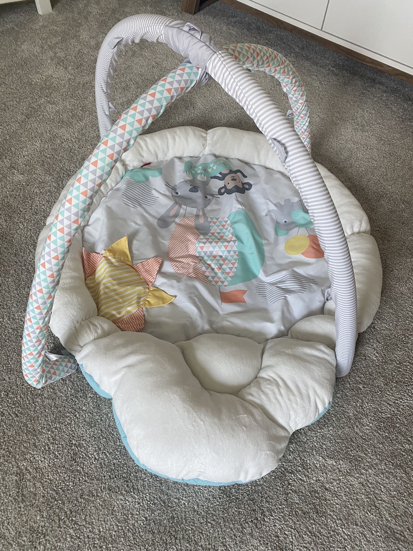 Baby Play Mat