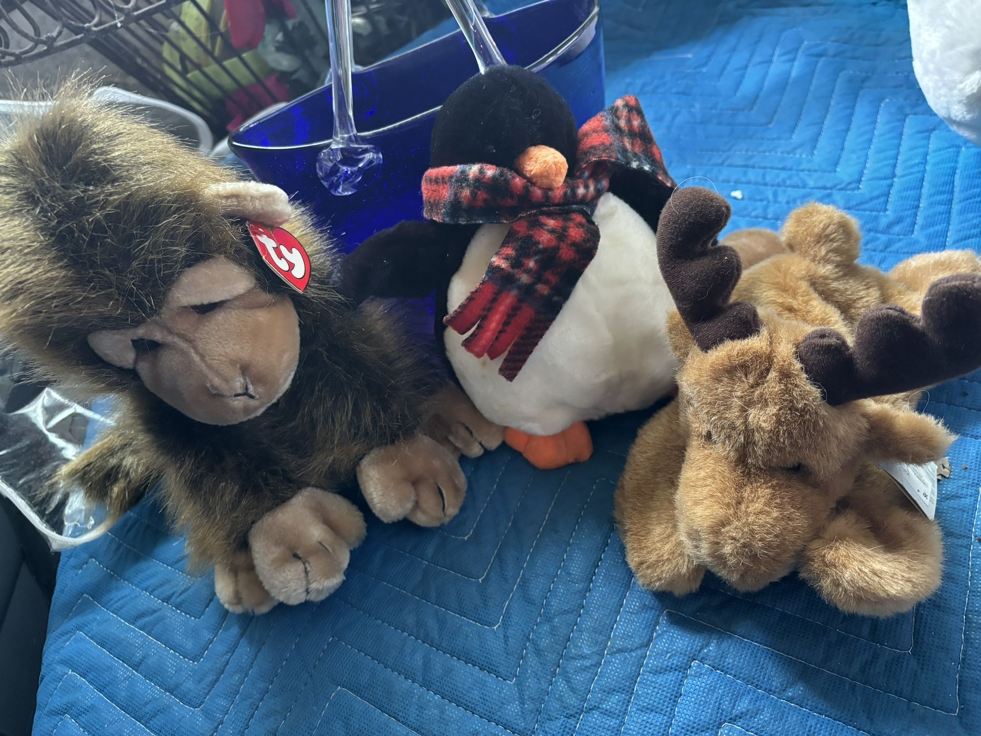 Beanie Babyies