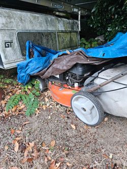 FREE Lawn Mower/Weed wacker parts