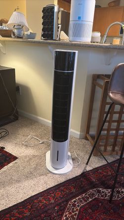 Standing air cooling fan