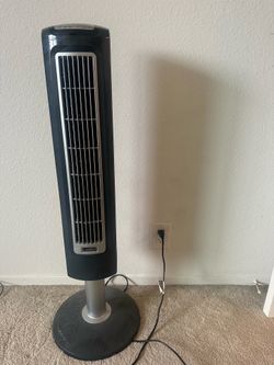 Fan