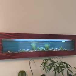 Fish Tank 