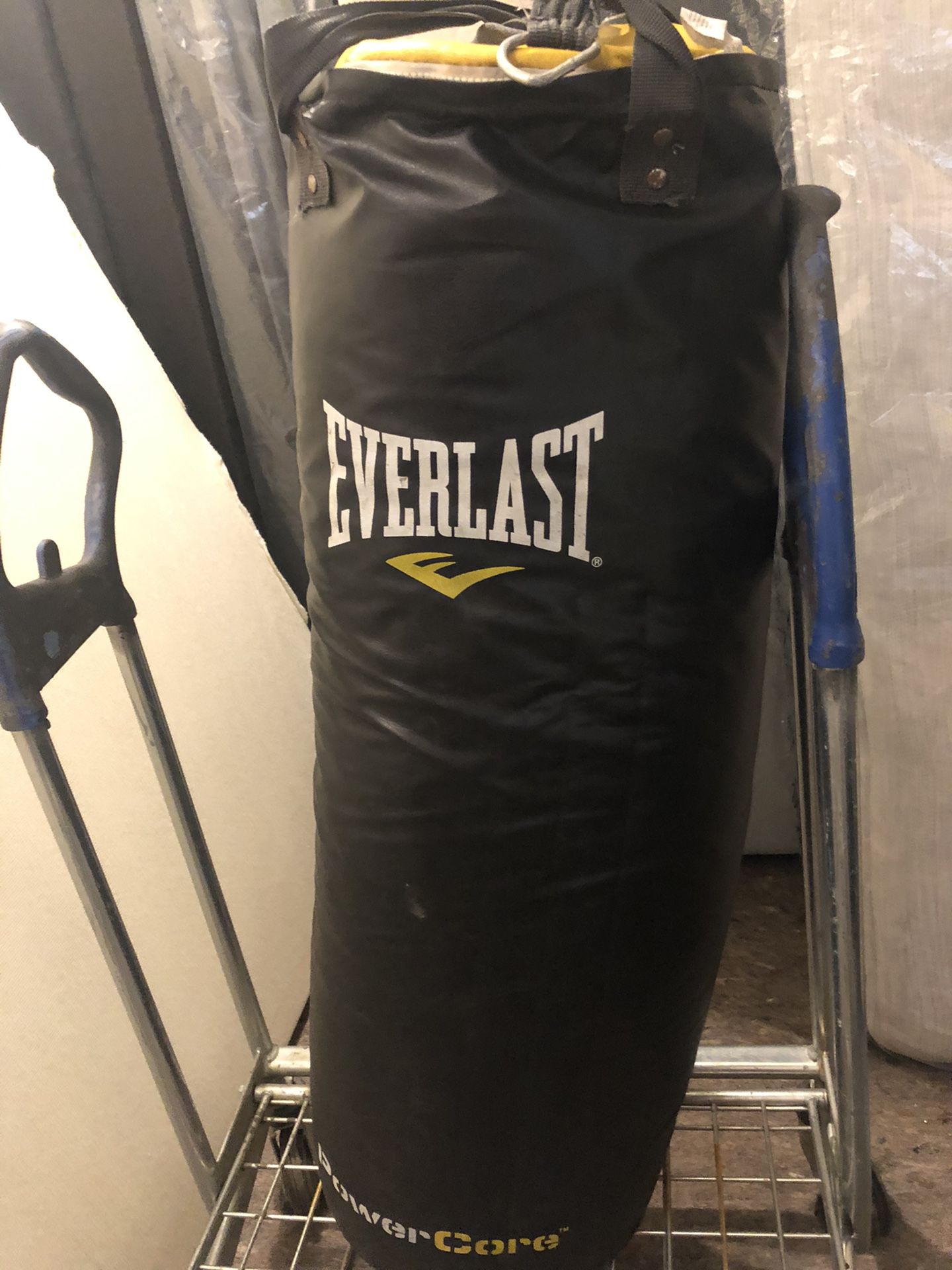 Everlast Power Core Heavy Punching Bag