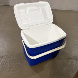 Small Igloo Cooler