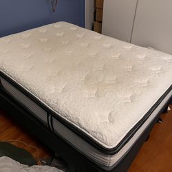 Wayfair Sleep 12” Medium Hybrid Mattress 