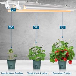 Plant Grow Light