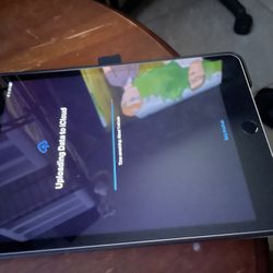 iPad mini