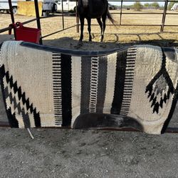 Horse Saddle Pad Pretty Lightly Used