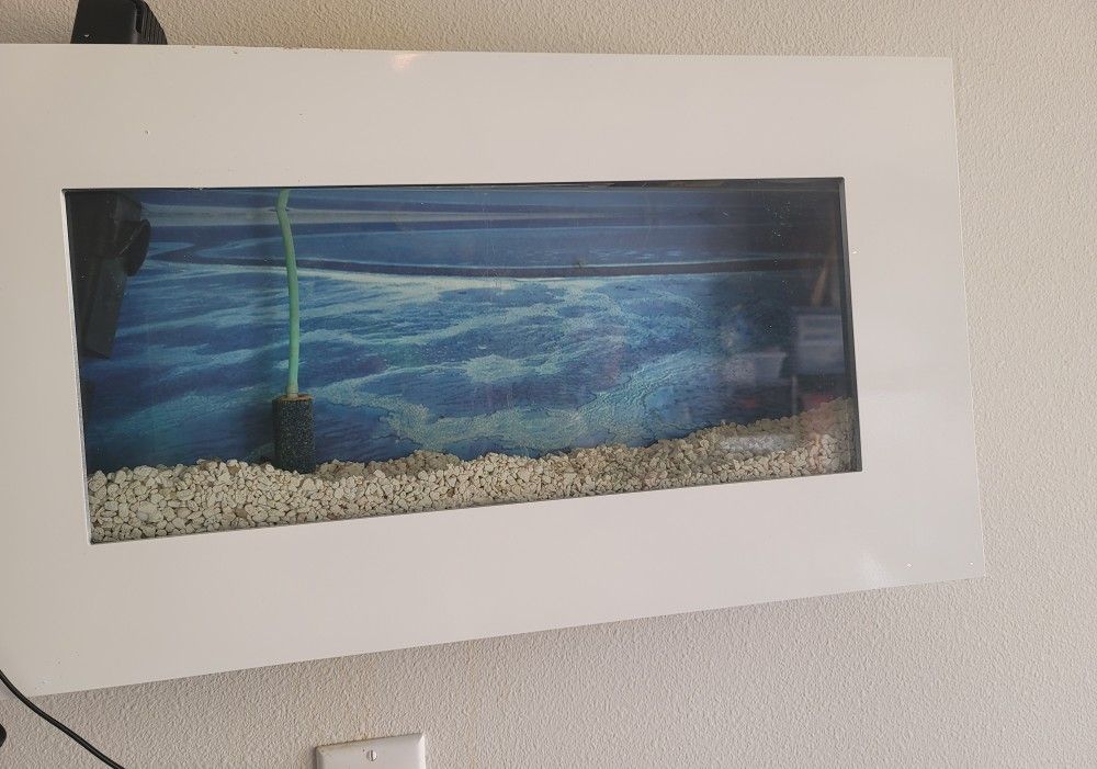 Wall Mounted Fish Tank ,2 Gallon Rectangle
Aquarium Tank