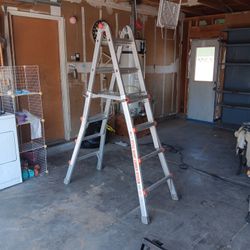 Little Giant Ladder