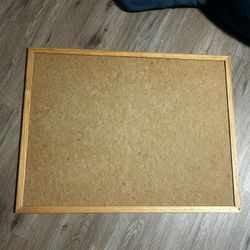 Framed Corkboard 19x25 Inches