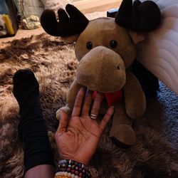 A Month Old Stuffed Deer