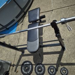 Weight Bench And Weights