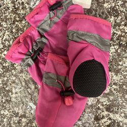 zapatos para tu mascota