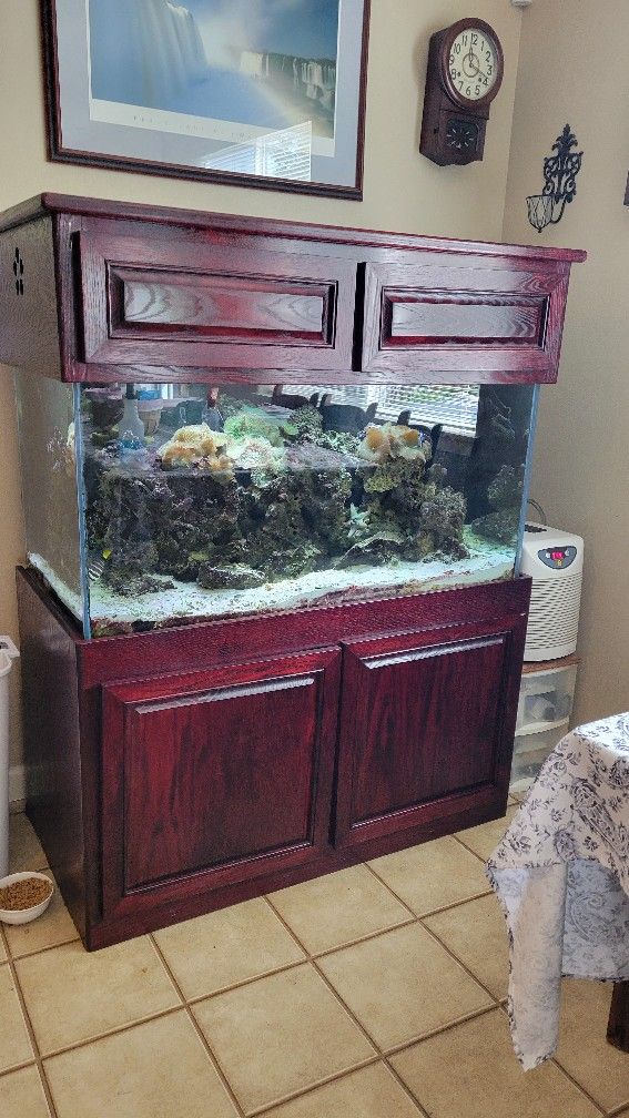 150g Salt Water Fish Tank
