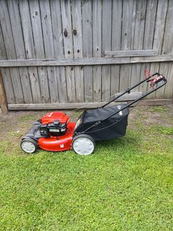 Self-Propelled Lawnmower Working Good You Can Try It Before