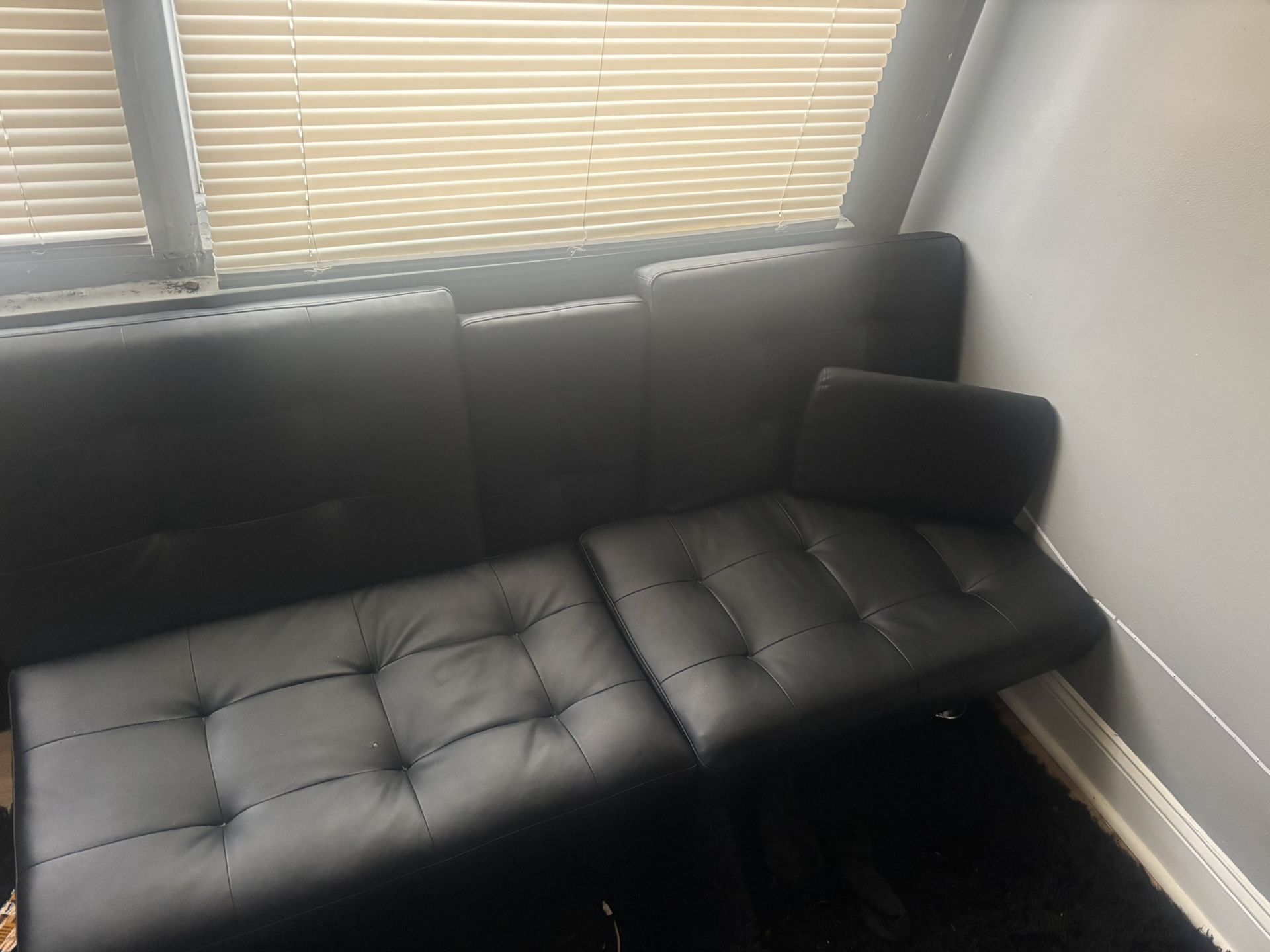 Leather Futon