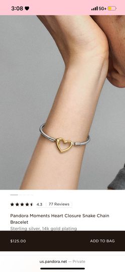 Two tone pandora charm bracelet